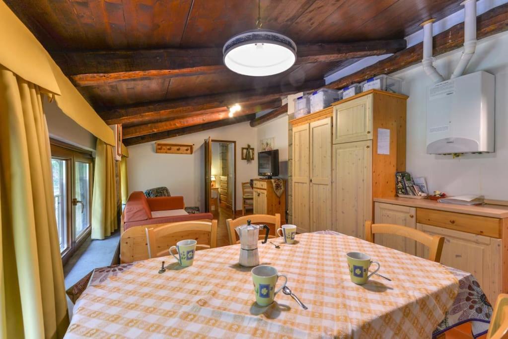 38-Volpini House In Amiata - Val D'Orcia, Saturnia, Feste&Sagre Castel del Piano  Exterior photo